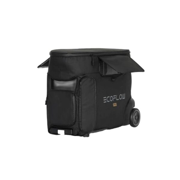 Ecoflow torba za DELTA Pro